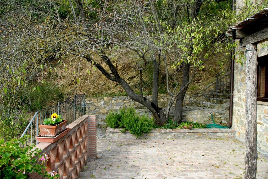 Podere Monte Petreto San Savino  Pokoj fotografie