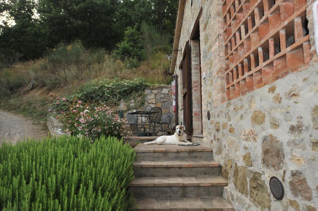 Podere Monte Petreto San Savino  Pokoj fotografie
