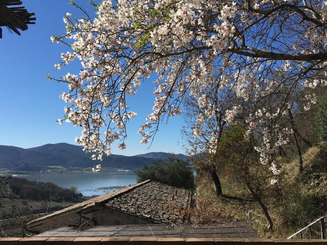 Podere Monte Petreto San Savino  Exteriér fotografie